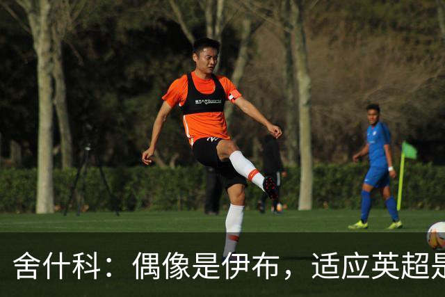 舍什科：偶像是伊布，适应英超是最难挑战，曼联理应在欧冠舞台